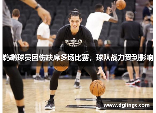 鹈鹕球员因伤缺席多场比赛，球队战力受到影响