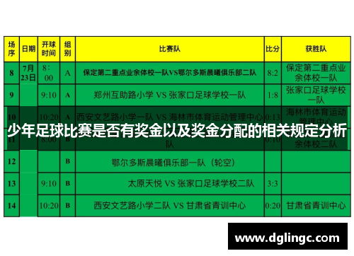 少年足球比赛是否有奖金以及奖金分配的相关规定分析