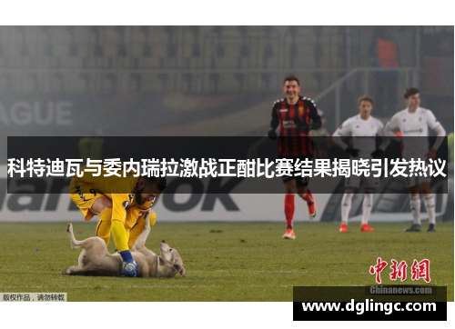科特迪瓦与委内瑞拉激战正酣比赛结果揭晓引发热议